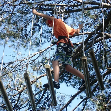 Alpha Centauri * Carcassonne