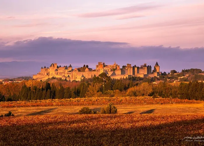 Résidence Alpha Centauri Villa Carcassonne