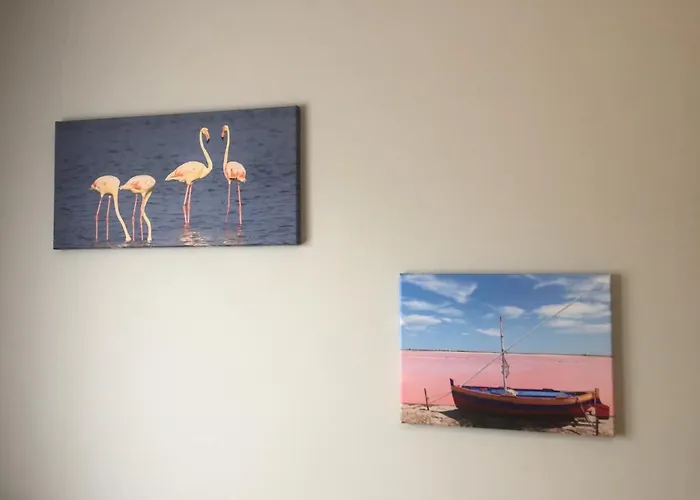 Résidence Alpha Centauri Carcassonne