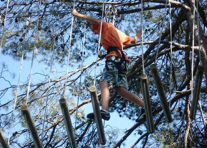 Alpha Centauri * Carcassonne